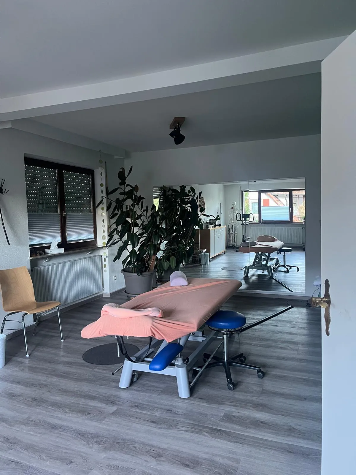 Heller Behandlungsraum in Diersburg mit Therapieliege, großer Pflanze und Spiegelwand.